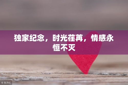 獨(dú)家紀(jì)念，時(shí)光荏苒，情感永恒不滅